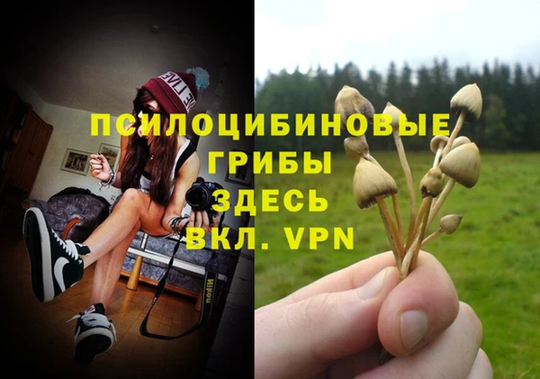 прущий лед Бронницы